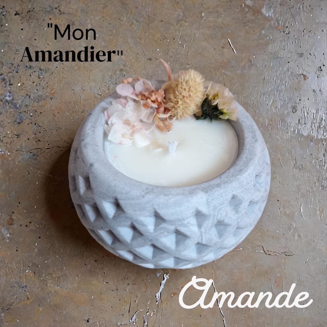 Mon Amandier - Amande